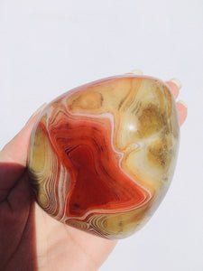 Carnelian palm - 176